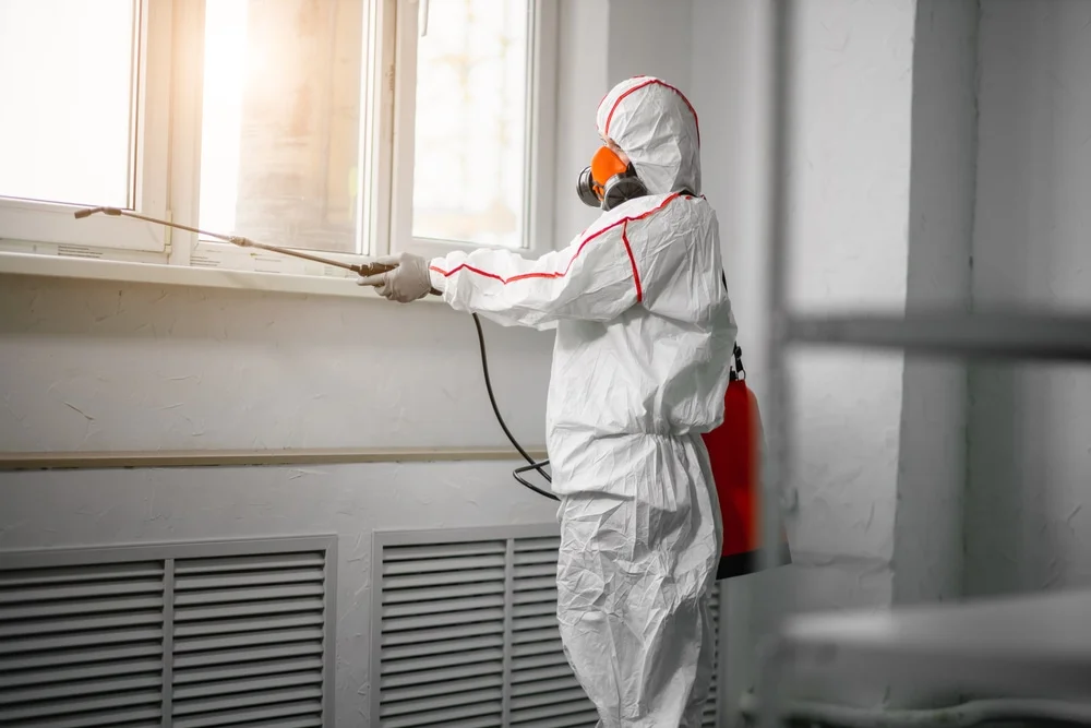 Professional mold remediation services in Elmsford, NY